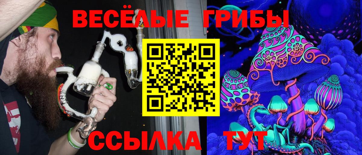 Галлюциногенные грибы Psilocybine cubensis Самара