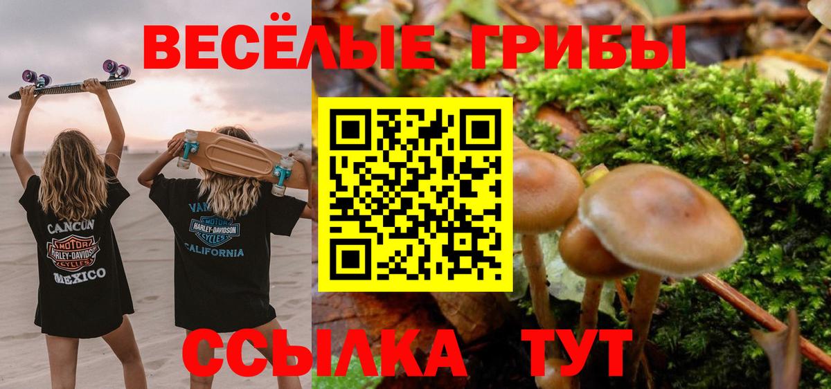 Самара  Псилоцибиновые грибы прущие грибы  Вход с VPN 
