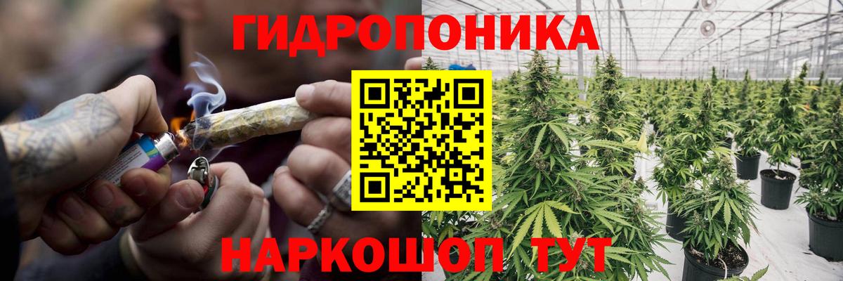 Каннабис SATIVA & INDICA Самара