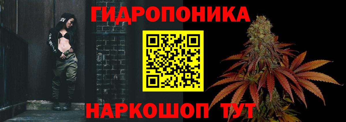 МАРИХУАНА Bruce Banner  Вход с VPN  Самара  МАРИХУАНА ГИДРОПОН 